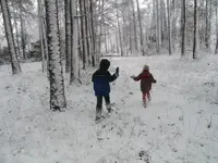 sno3.webp