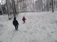 sno4.webp