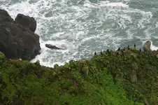Yachats2 059_RT8.webp