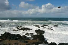 Yachats 033_RT8.webp