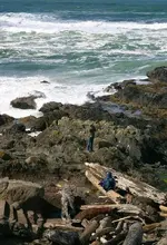 Yachats 039_RT8.webp