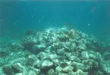 ballast-pile.webp