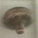 victorian door knob 001.webp