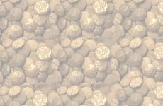 new background.webp