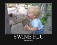 swine flu.webp