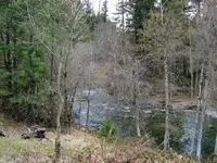 Carberry Creek2.webp