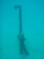 anchor1edited3.webp