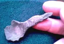 Ancient_Spoon_1.webp