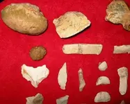 RED PALEO TOP LEFT.webp