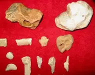 RED PALEO TOP RIGHT.webp