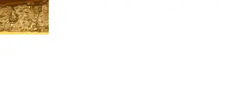 ay.webp