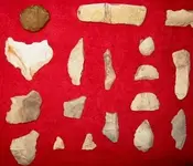RED PALEO MID LEFT.webp