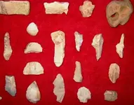 RED PALEO MID RIGHT.webp