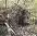 may 03 007.webp