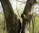 may 03 002.webp