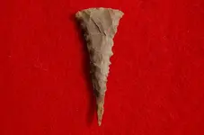 Feurt Site Finds (213).webp