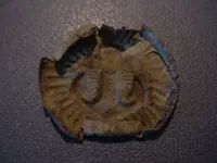 button 001.webp