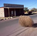 tumbleweed.webp