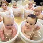 baby fat test.webp