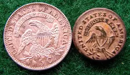 buttonsizecomparison.webp
