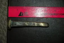Spike Beach Find.webp