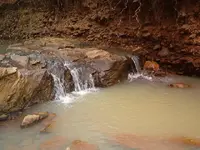 country pic\'s 002.webp