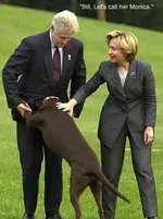 clinton_buddy.webp