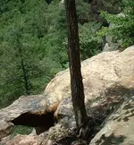 gnomehole.webp
