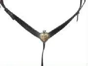 breast1_jpg_w180h135.webp