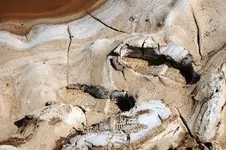 mud pots2.webp