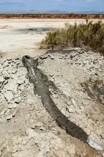 Mud pots1.webp