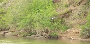 100_1442.webp
