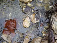P1040543.webp