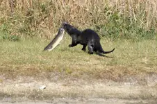 20090303_15c.webp