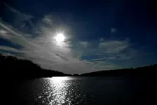 1 (Medium).webp