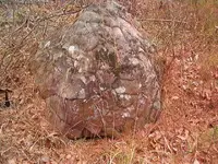 Turtle Rocks 009.webp