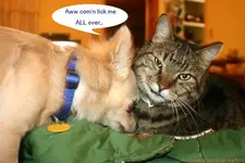 betsy & spunky1.webp