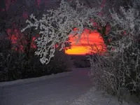 Saskatchewan frosty sunset.webp