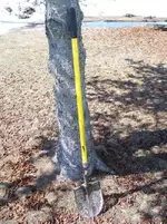 shovel.webp