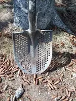shovel2.webp