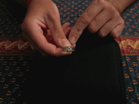 P1010652.gif