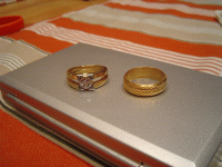 DSC02560.gif