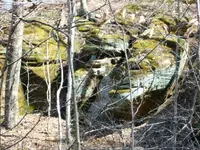 100_0391.webp