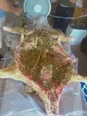 pig seasoned.webp