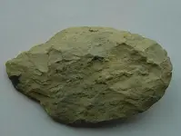 DSC03241ax.webp