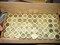 coins.webp