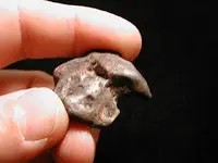 DSCN4784.webp