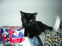 coco1.webp