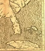 florida 1597.webp