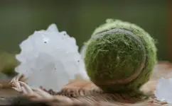 TennisBall2.webp